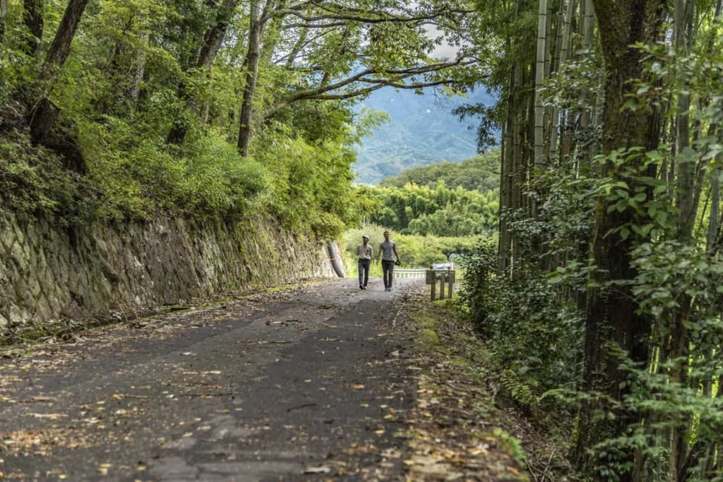 Subiendo hasta las ruinas del castillo Naegi en Nakatsugawa