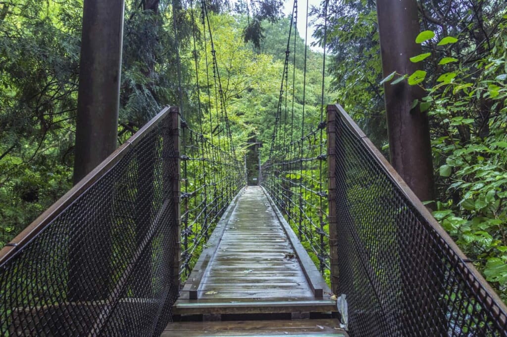 Adéntrate al mundo de la naturaleza en Nakatsugawa