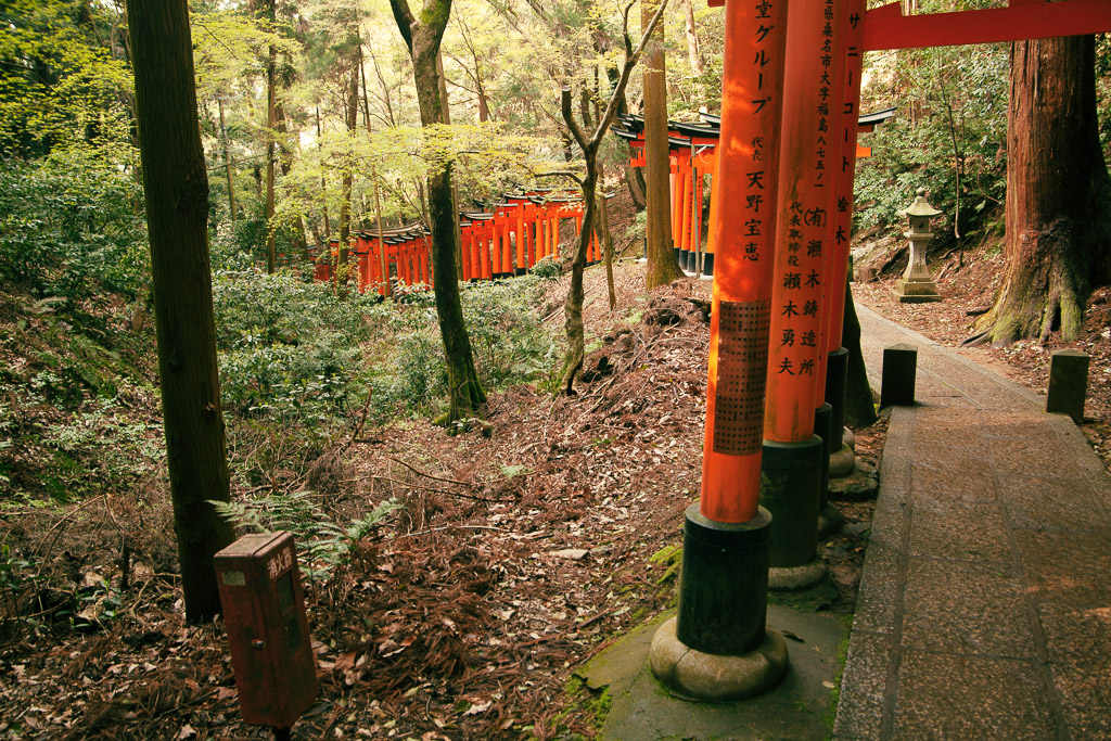 Hilera de puertas torii en trayecto de Monte Inari