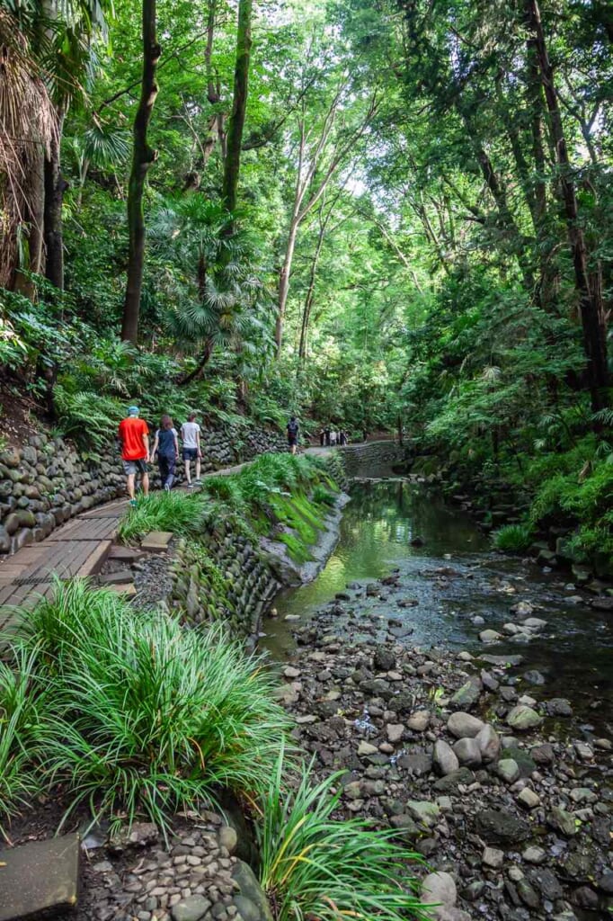 Camino en Valle de Todoroki