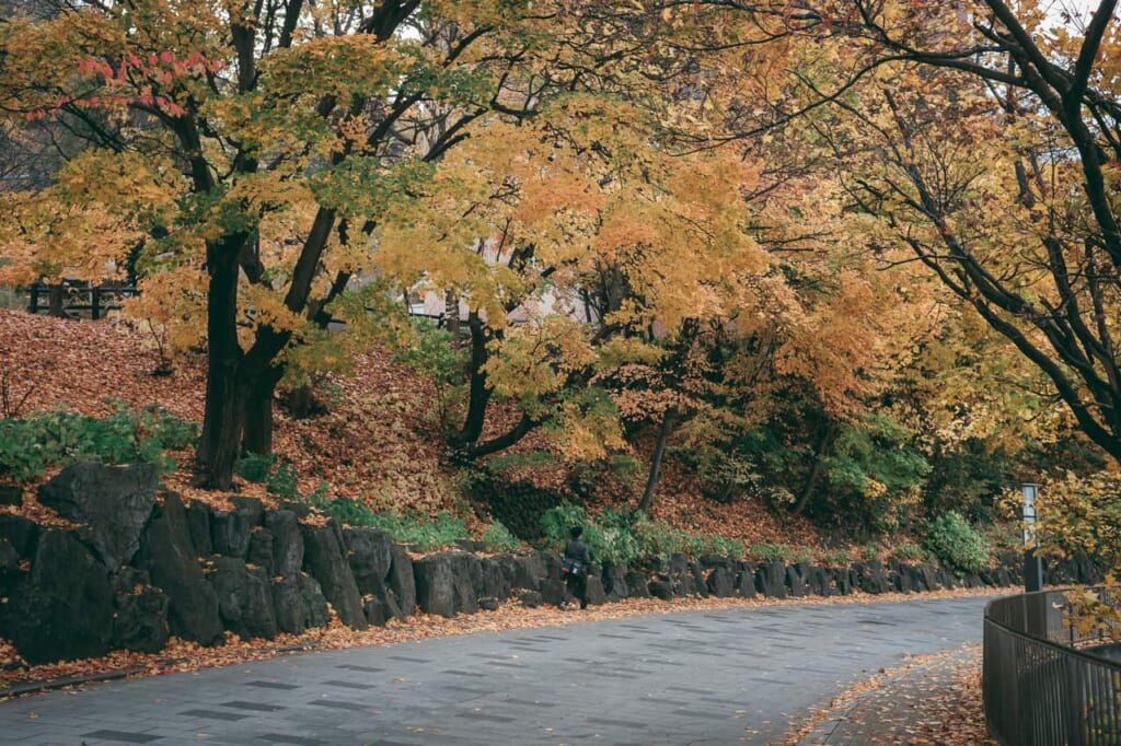 El paisaje otoñal de Jozankei es hermoso