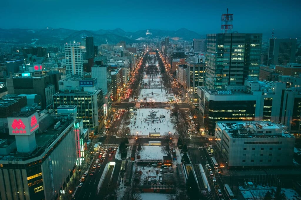 Desde la torre de Sapporo