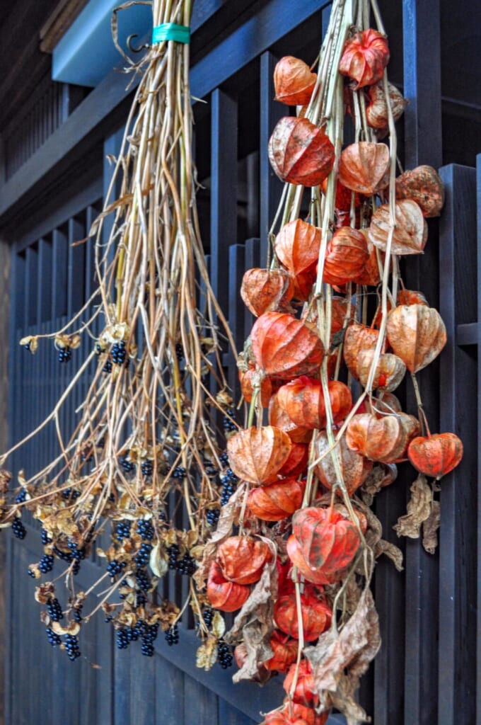 kakis secos durante el otoño japonés
