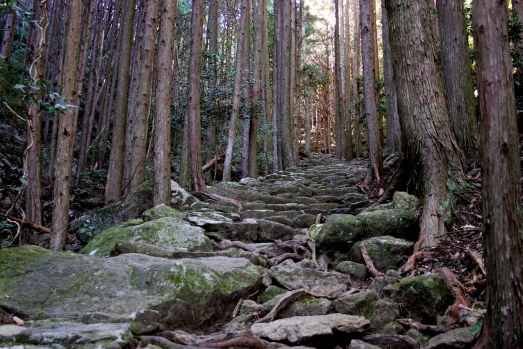 El camino empedrado en Kumano