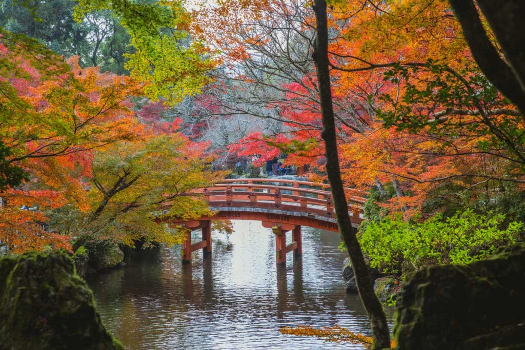 colores otoñales en japón