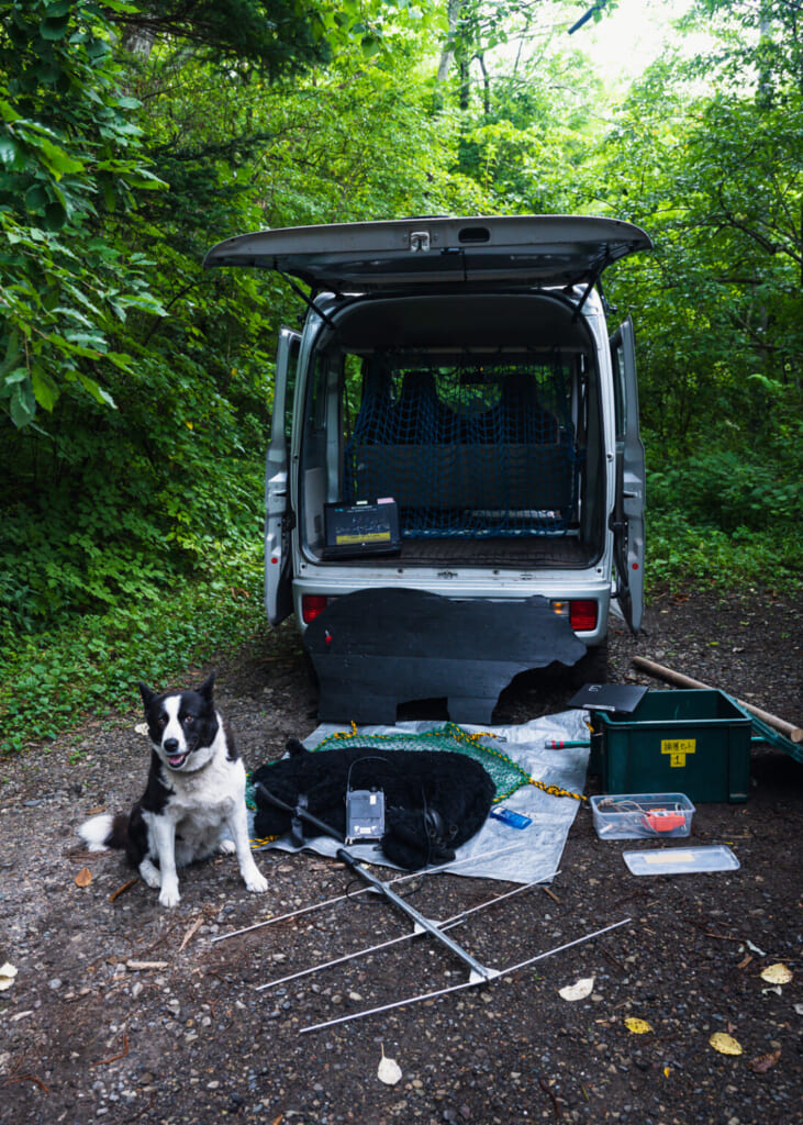 un equipo necesario para investigar los osos japoneses
