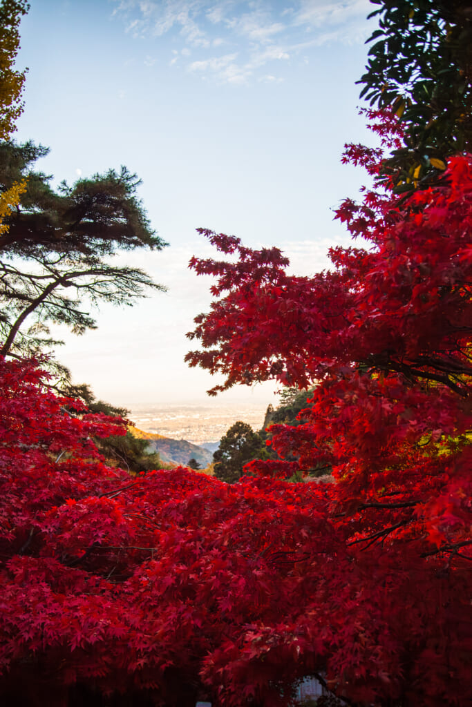 Oyamadera en el monte Oyama en otoño