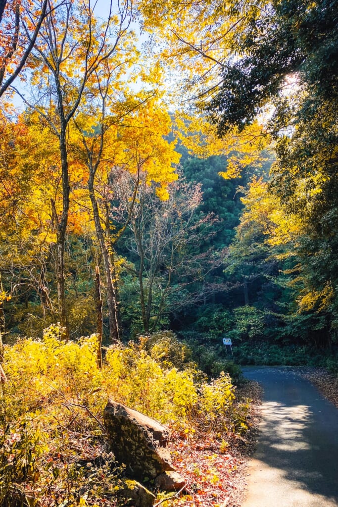 Afuri Rindo en Isehara durante el otoño