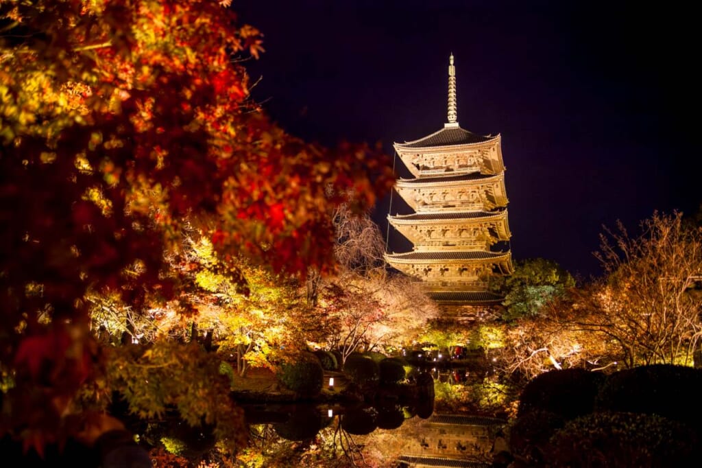 Pagoda de To-ji durante iluminación especial de otoño
