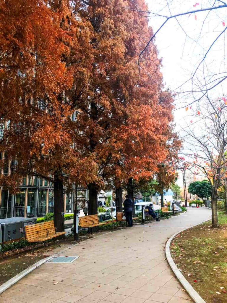 Parque Tsukijigawa en otoño