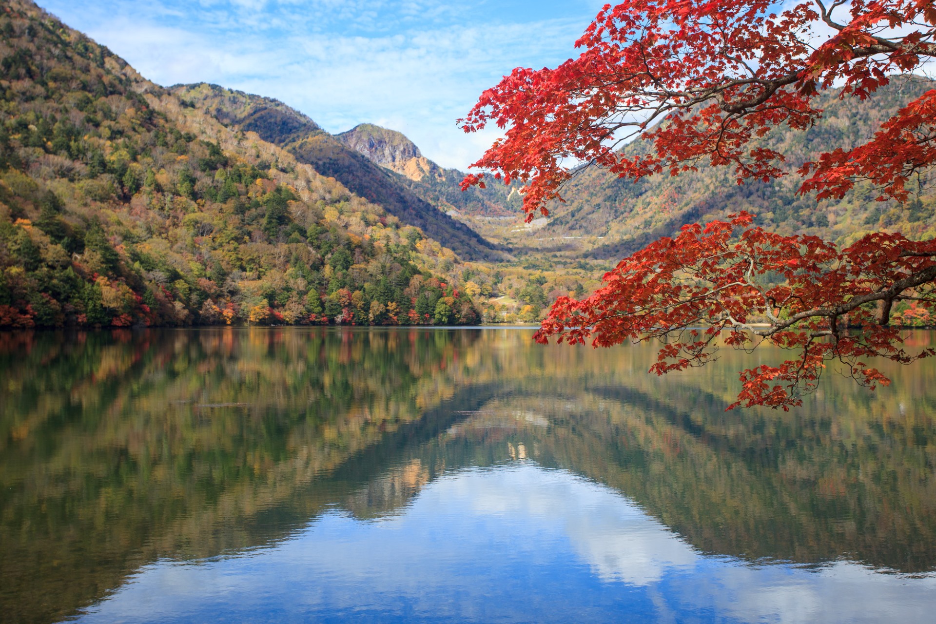 Colores otoñales en Kioto: los mejores lugares para ver el follaje en 2025