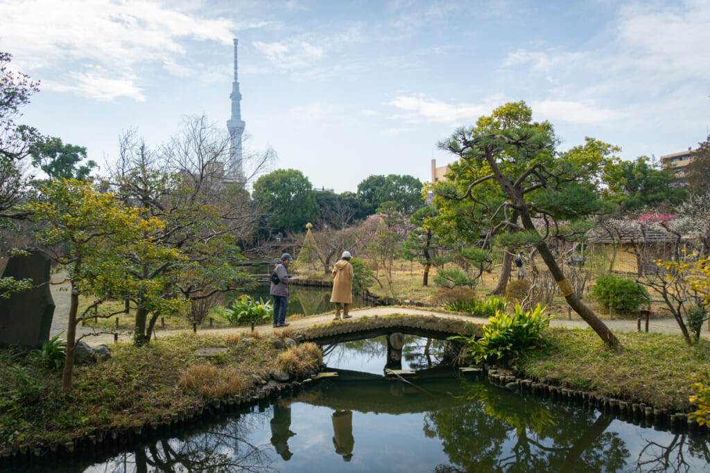 Las vistas del Skytree desde el jardín Mukojima Hyakkaen en el este de Tokio