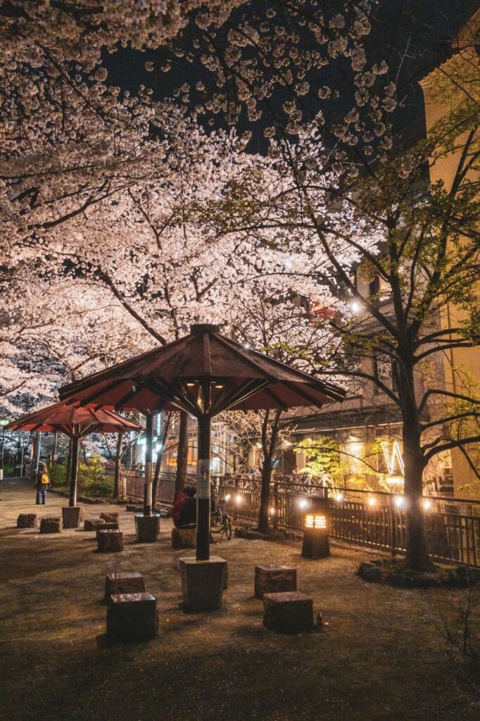 Gion de noche durante la temporada de