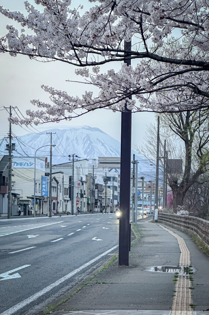 Una calle en Morioka con un cerezo y el Monte Iwate de fondo