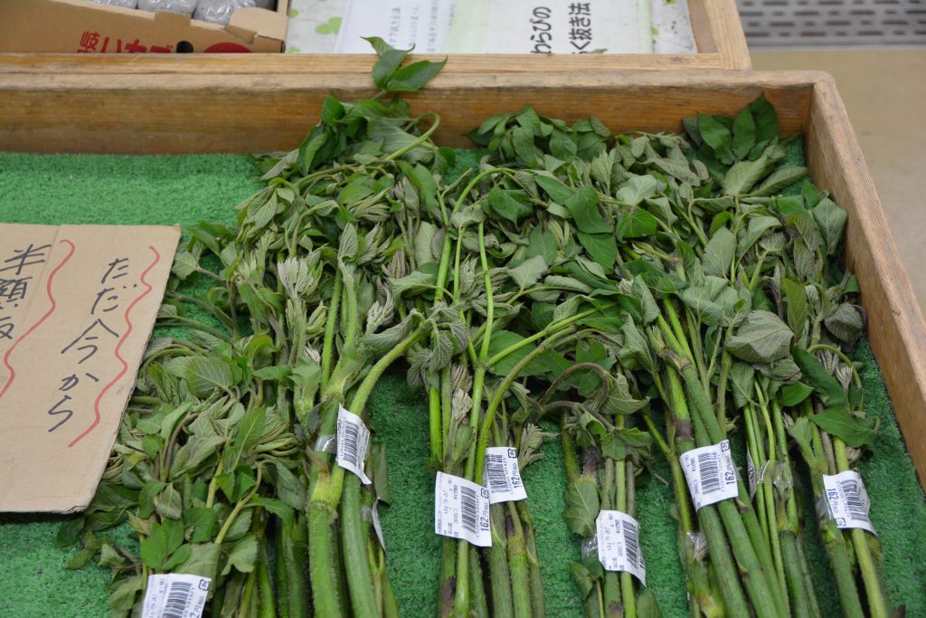 Ländliches und traditionelles Japan mit dem Fahrrad in Hida Furukawa kennenlernen, Gifu, Japan
