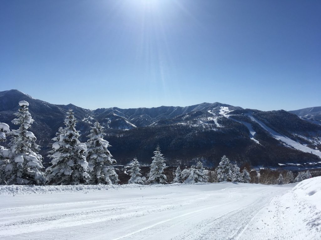 Garantierte Sensationen im Skigebiet Shiga Kogen – 2,5 Stunden von Tokio entfernt