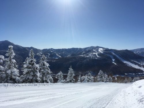 Garantierte Sensationen im Skigebiet Shiga Kogen – 2,5 Stunden von Tokio entfernt