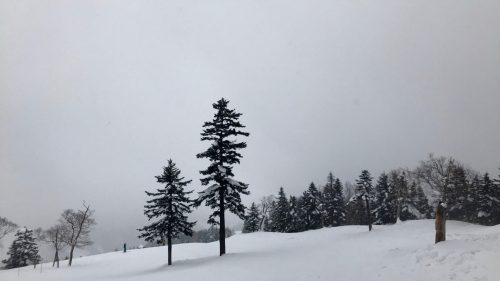 Genießen Sie Skifahren im Manza Ski Resort