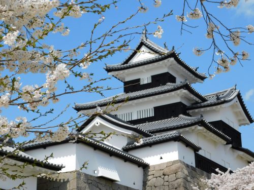 Shirakawa: Ein Ausflug zu den Kirschblüten in der Präfektur Fukushima