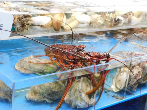 Frische Meerestiere auf der Kokusai-dori.