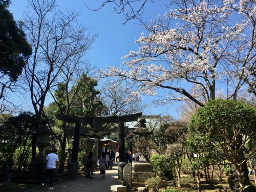 Ein weiterer Schrein zwischen Kirschbäumen und Kiefern.