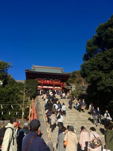 Sunrise to Tsurugaoka Hachimangu Shrine in Kamakura, Japan. 