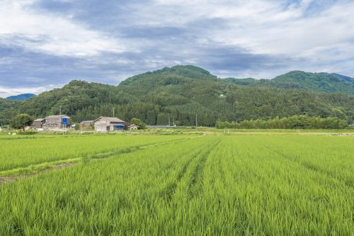 Übernachten in den Bergen Niigatas im Goushikan, Japan.