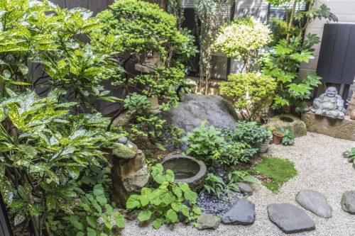 Japanische Teekultur in Murakami erleben, Japan.