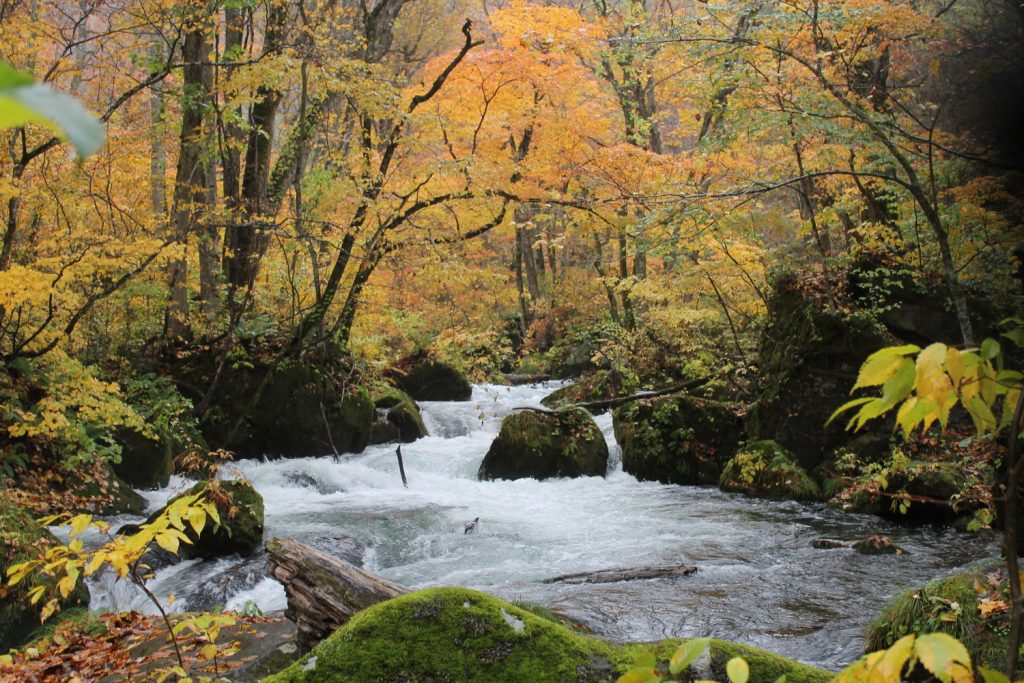 Die Natur am Fluss Oirase und am Towada-See in der Aomori Präfektur