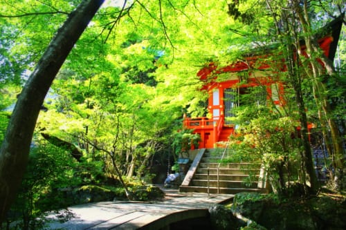 Der Bishamondo Tempel im Norden von Yamashina, Kyoto, Japan.