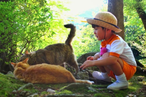 Yamashina, Kyoto, Japan.