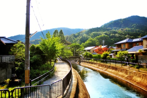 Yamashina, Kyoto, Japan.