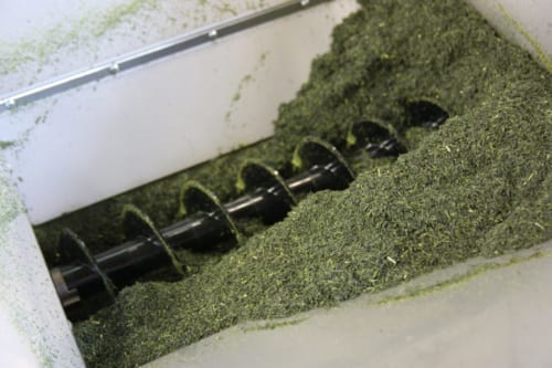 Getrocknete Teeblätter aus Higashisonogi.