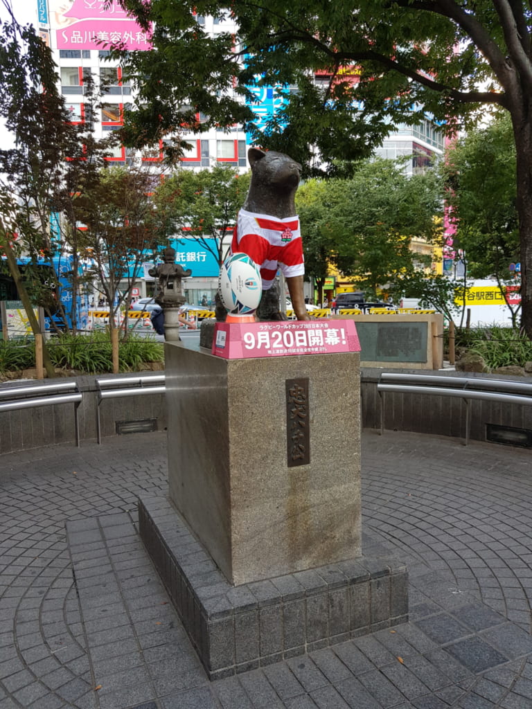 Auch Hachiko ist bereit für die Rugby Weltmeisterschaft.