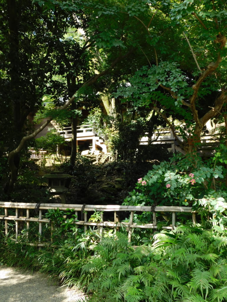 Die idyllische Umgebung des Tempels.