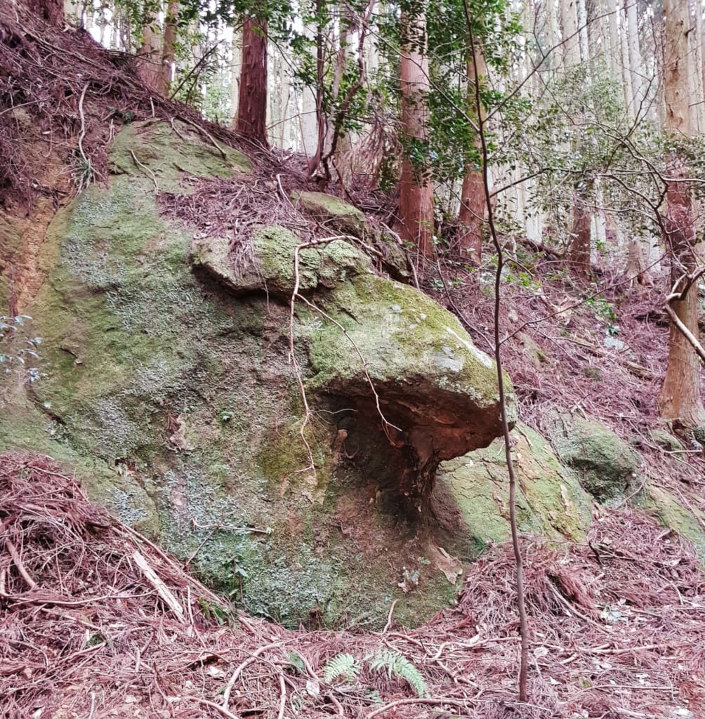 Ein Fels der wie ein Gesicht aussieht, auf dem Weg zum Shirai no Taki Wasserfall.