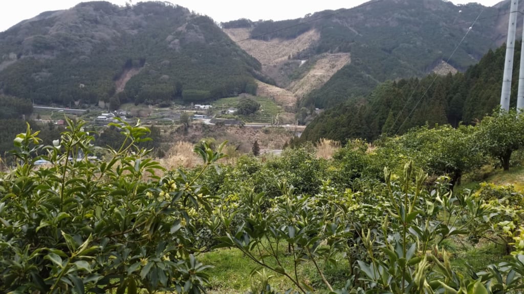 Die Stadt Toon in der Präfektur Ehime, Shikoku in Japan.