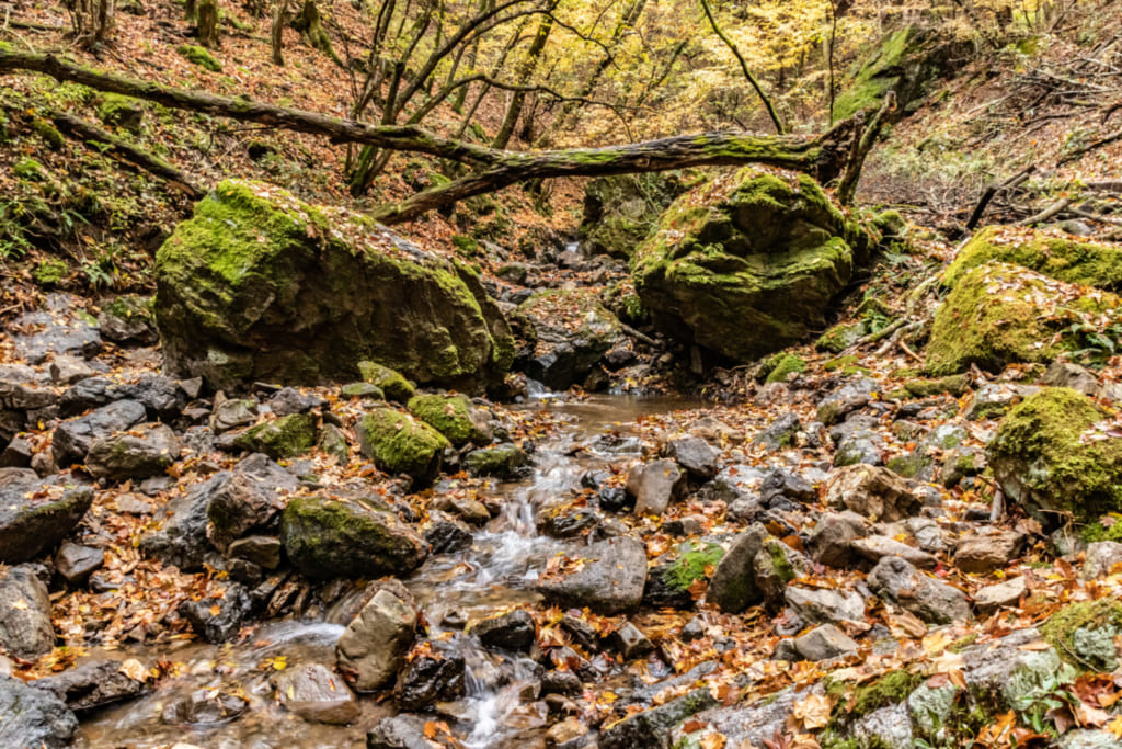 Erkundet das Tal um den Berg Mitake herum, in der Nähe von Tokio, Japan.
