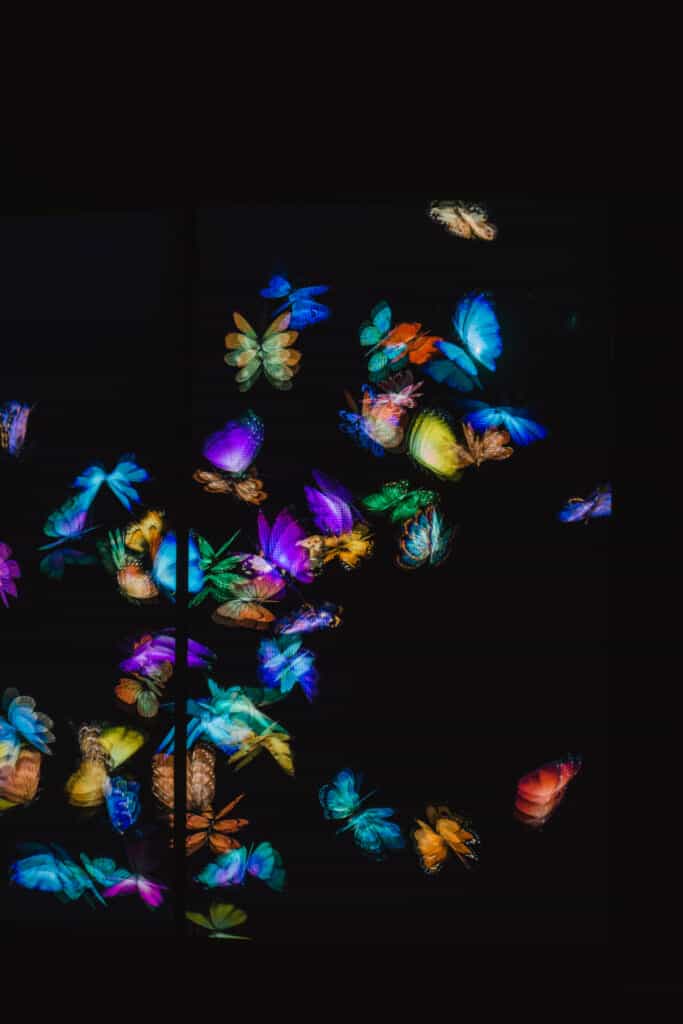Schmetterlinge im teamLab Borderless in Tokio.