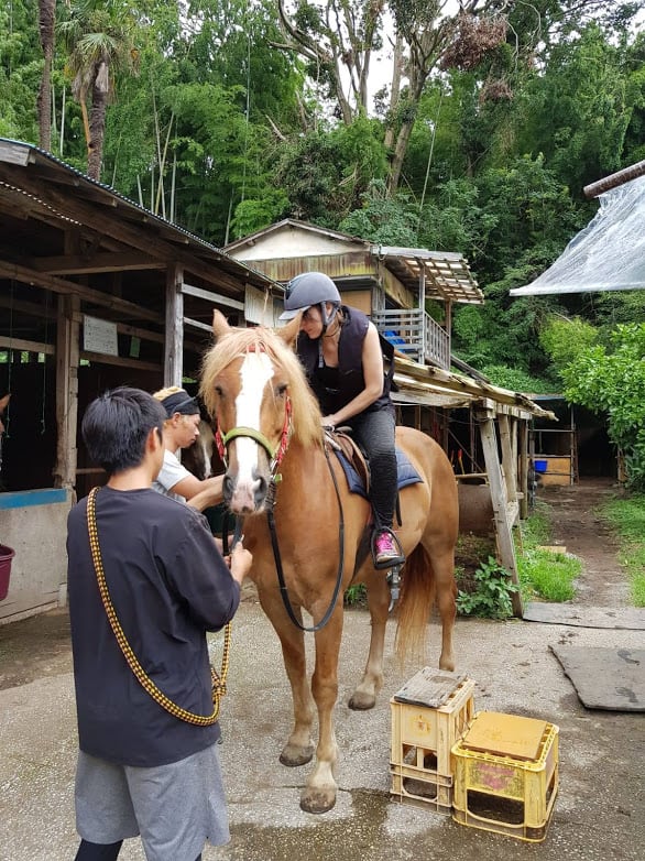 Aufsitzen und die Steigbügel einstellen.