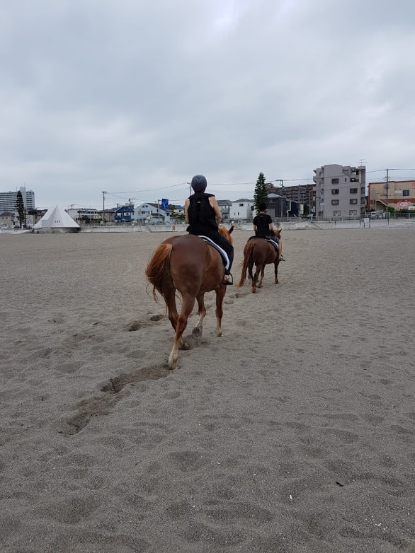 Am Strand von Miura Kaigan reiten.
