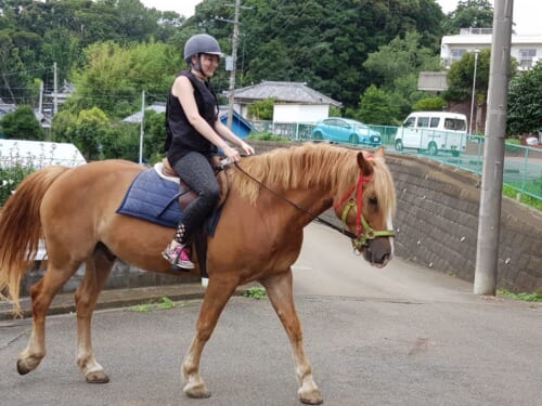Reiten in Japan: Die Horse Trekking Farm Miura Kaigan