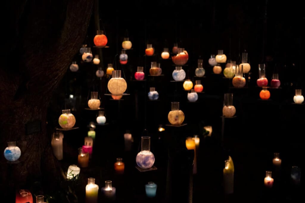 Kerzen hängen in einem Baum, Japan.