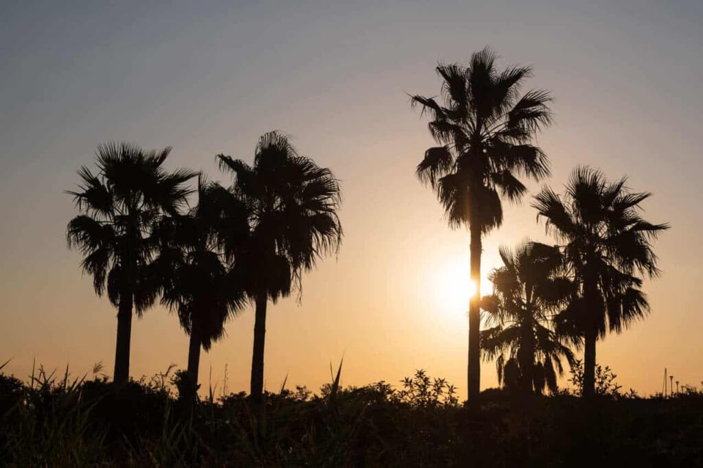 Sonnenuntergang auf der Insel Enoshima, Präfektur Kanagawa.