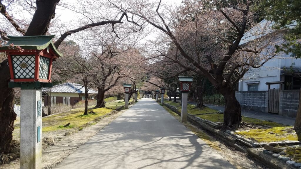 Kirschblüte in Japan: Der Eingang zum Yahiko-Park.