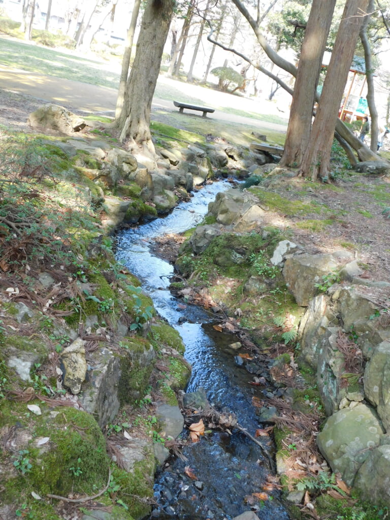 Ein kleiner Bach im Yahiko-Park.