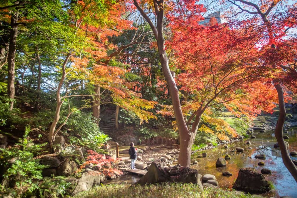 Der farbenprächtige Koishikawa Korakuen Garten in Tokio, Japan.