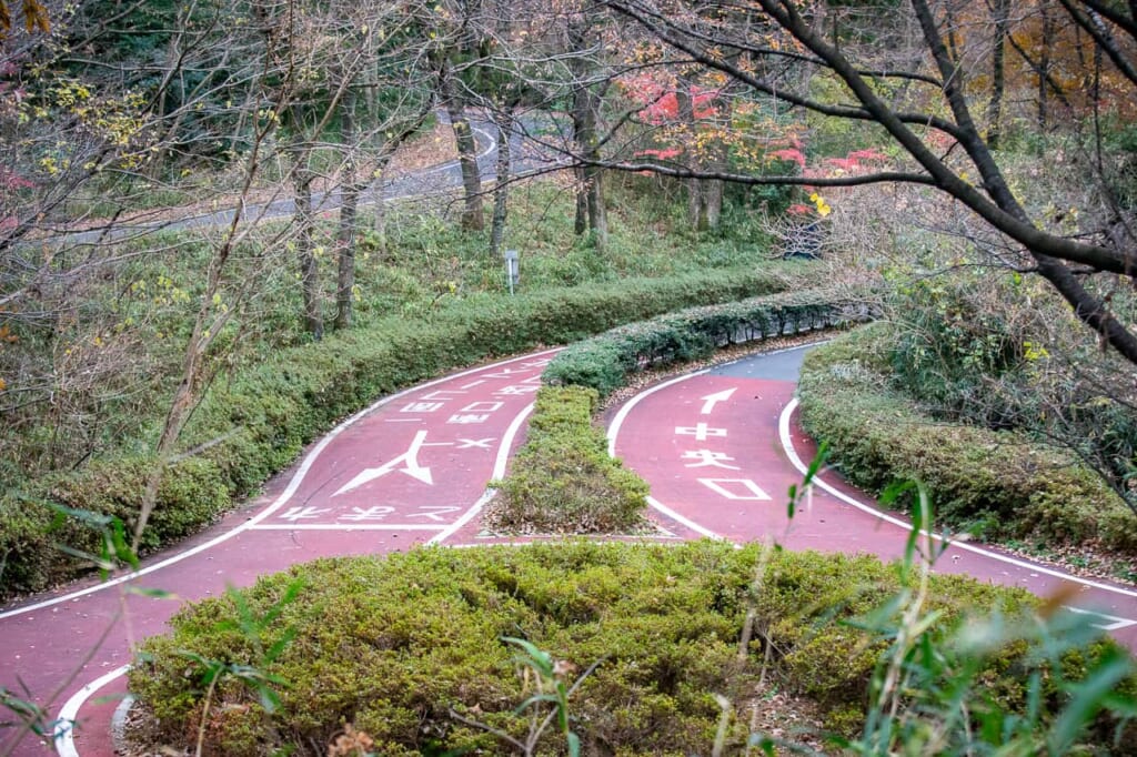 Der Radweg im Musashi Kyuryo Park.