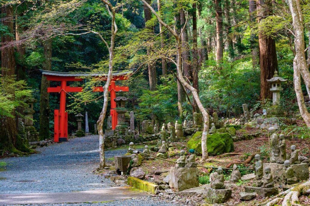 Eine traditionelle japanische Erfahrung im Hoko-ji Tempel.
