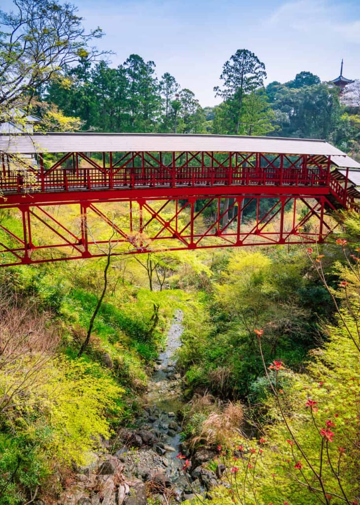 Brücke am Hoko-ji Tempel in Hamamatsu.
